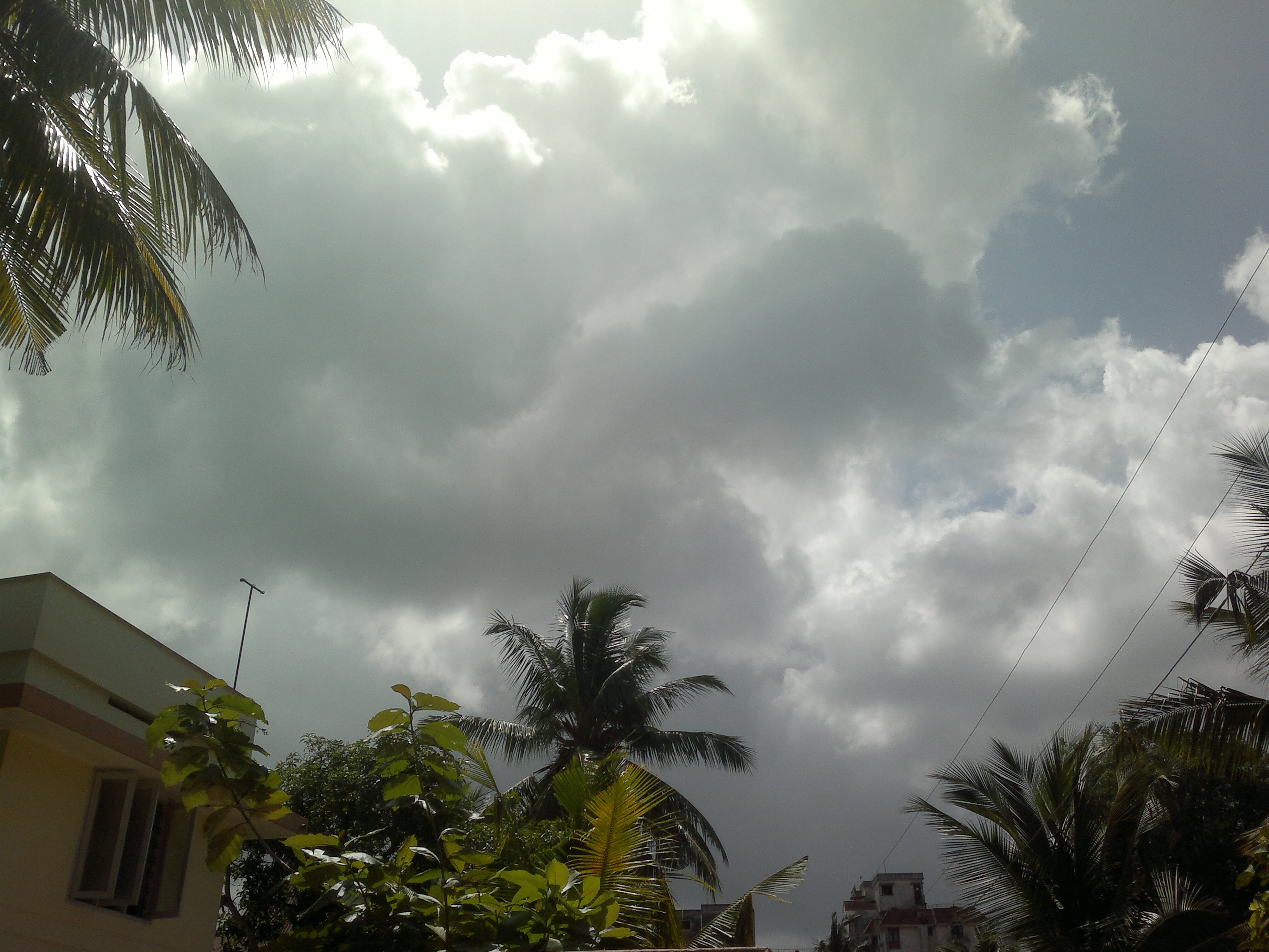 My Photography